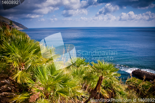 Image of Zingaro Natural Reserve, Sicily
