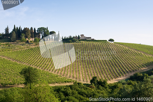 Image of Typical Tuscan landscape