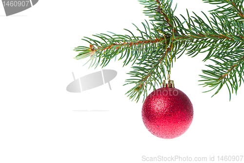 Image of christmas ball on branch