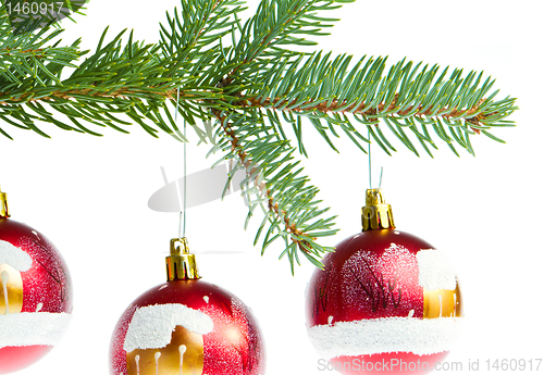 Image of red christmas ball on branch