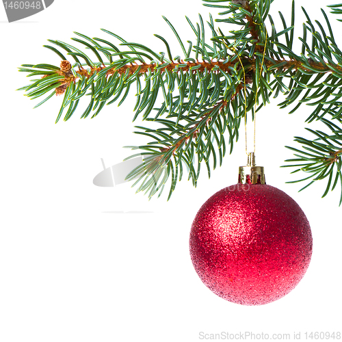 Image of christmas ball on branch