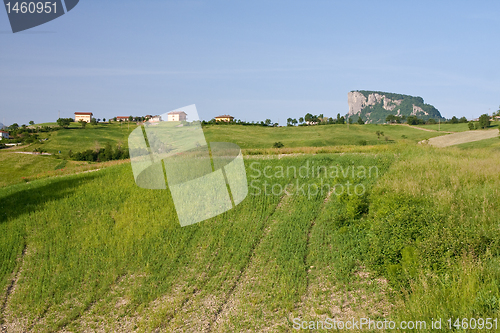 Image of Typical Tuscan landscape