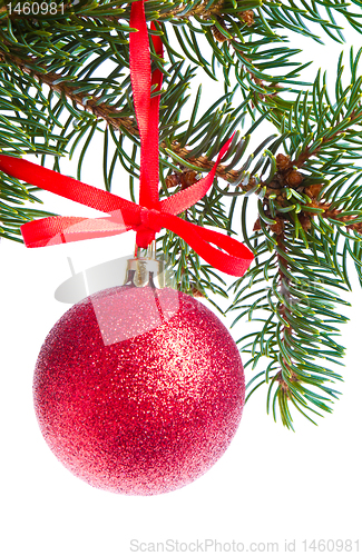 Image of red christmas ball hanging from tree