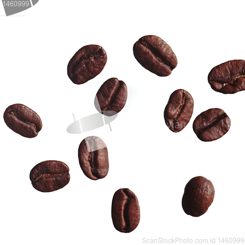 Image of kidney beans