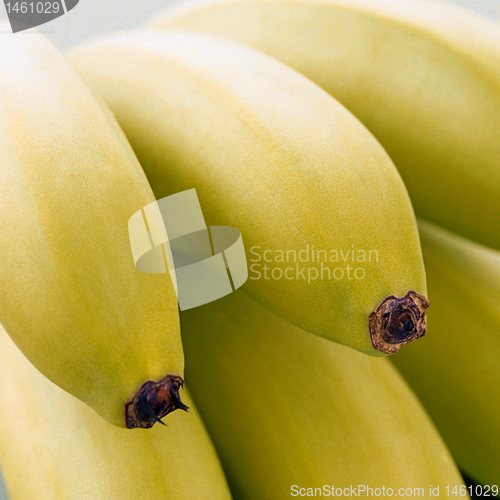 Image of banana