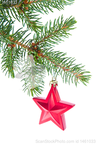 Image of red christmas star hanging from tree