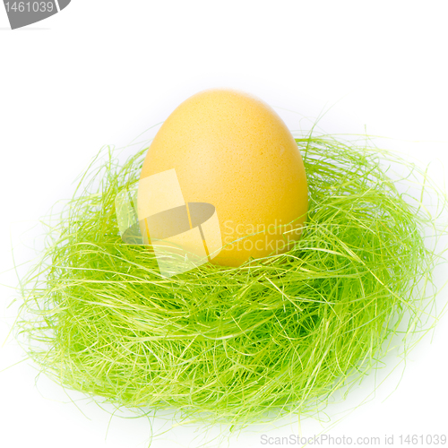 Image of easter egg in nest