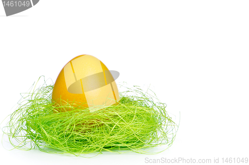 Image of easter egg in nest