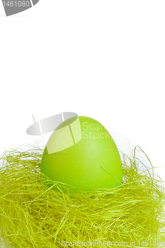 Image of easter egg in nest