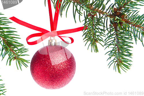 Image of red christmas ball hanging from tree