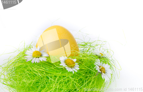 Image of easter egg in nest