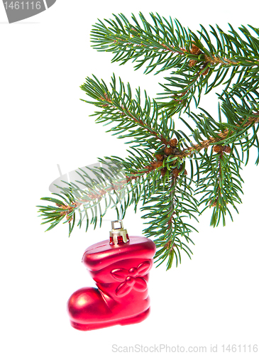 Image of red christmas star hanging from tree