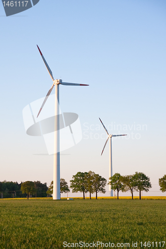 Image of windmill  farm in the rape field