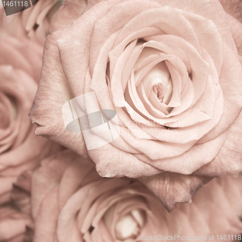 Image of rose bouquet