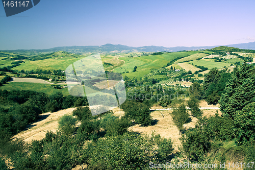 Image of Typical Tuscan landscape