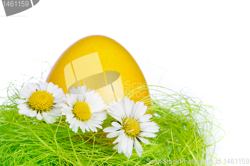 Image of easter egg in nest
