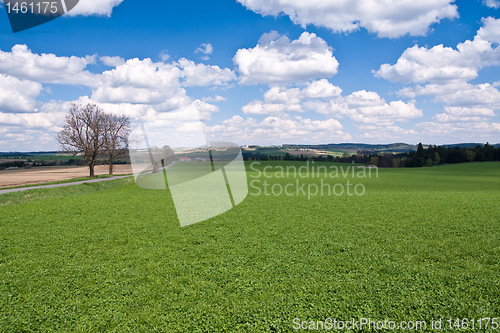 Image of green field