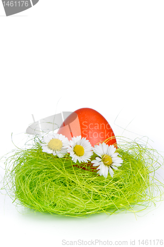 Image of easter egg in nest