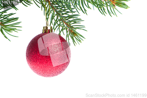 Image of christmas ball on branch