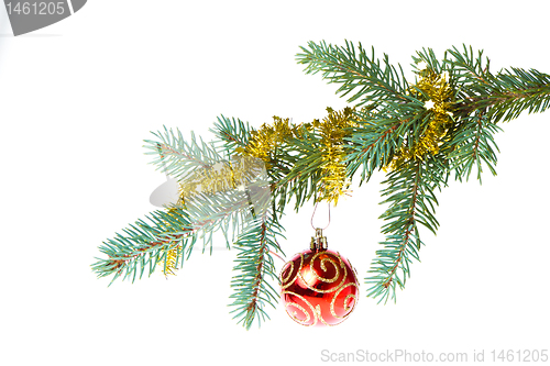 Image of decorated christmas branch