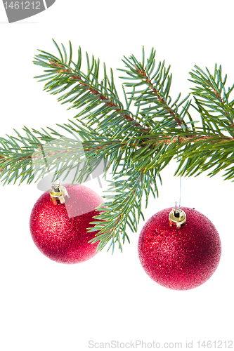 Image of red christmas ball hanging from tree