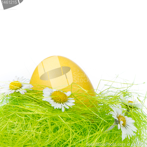 Image of easter egg in nest