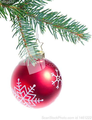 Image of ball hanging from spruce christmas tree