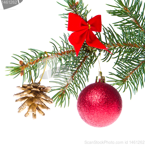 Image of christmas ball on branch