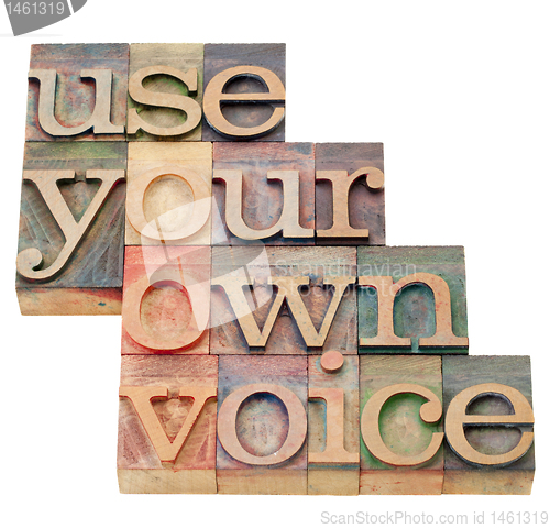 Image of use your own voice