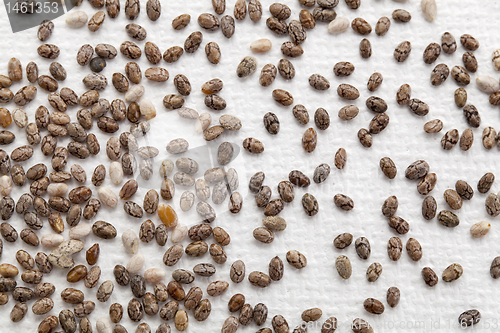 Image of chia seeds on canvas