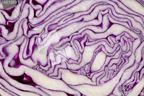 Image of red cabbage