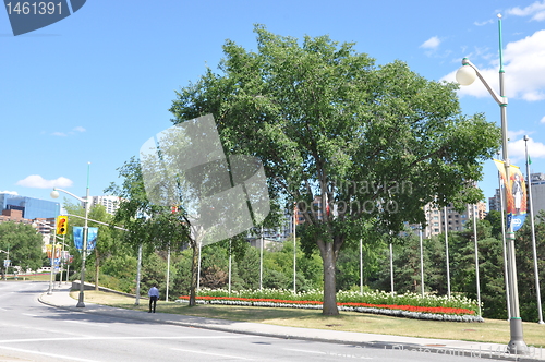 Image of Downtown Ottawa