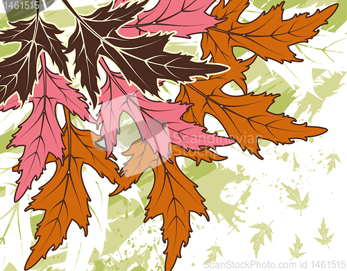 Image of Grunge leaf background