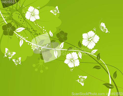 Image of Flower background