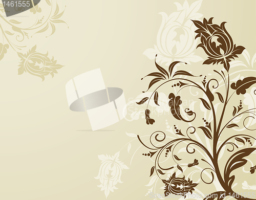 Image of Flower background