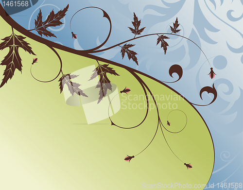 Image of Flower background