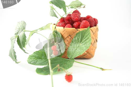 Image of Raspberries in a basket