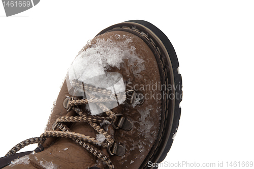 Image of Snow-covered hiking boot