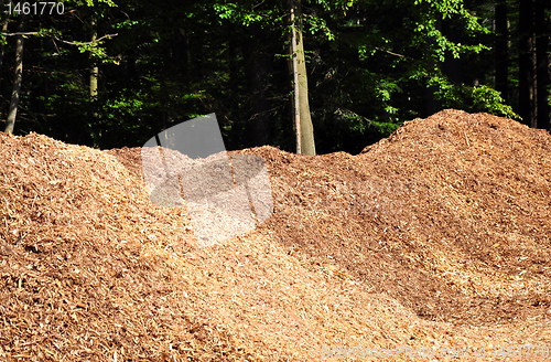 Image of Wood chips