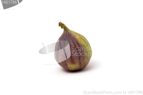 Image of Fresh fig