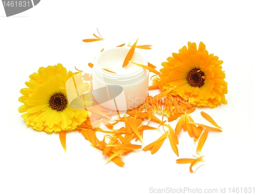 Image of Hand-made beauty cream with flowers (calendula)