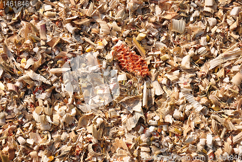 Image of Corn threshing waste