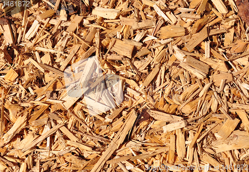 Image of Wood chips