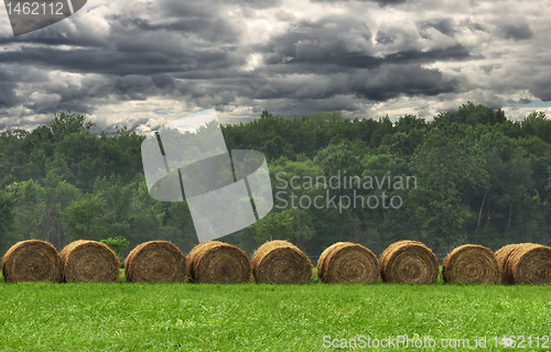 Image of Hay bails in a field 