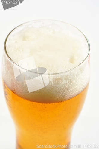 Image of Glass of beer