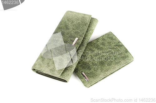 Image of Modern green female wallets