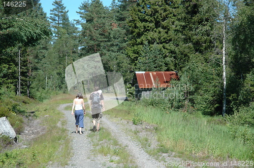 Image of Couple walking in the wood