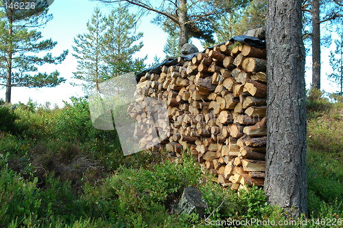 Image of Stacked firewood