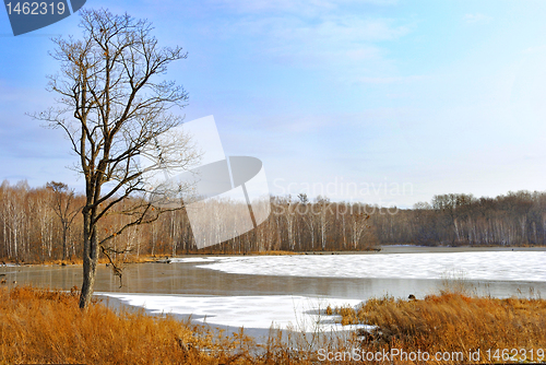 Image of lake