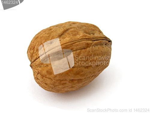 Image of walnut